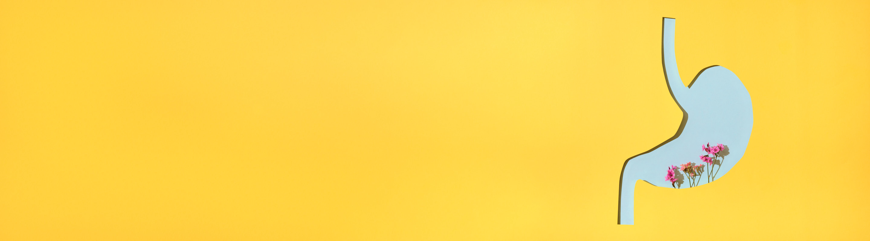 Tratamiento Digestivo ProAge Banner